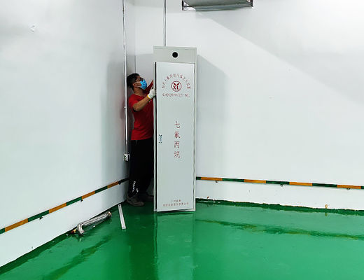 100L Clean Agent Fire Suppression System Fm200 Fire Proof Storage Cabinet