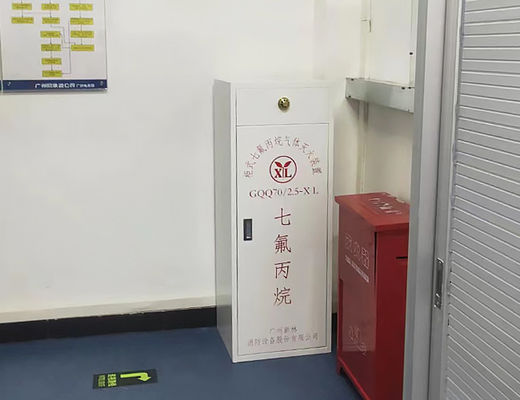 100L Clean Agent Fire Suppression System Fm200 Fire Proof Storage Cabinet