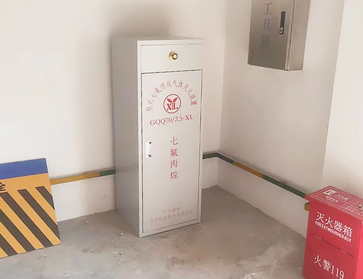 Co2 Lpg Fm200 System Fire Suppression System Fireproof Cabinet