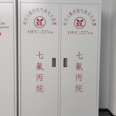 2.5Mpa High Safety Cabinet Fm200 Fire Extinguishing System Manufactuter Over 10-year