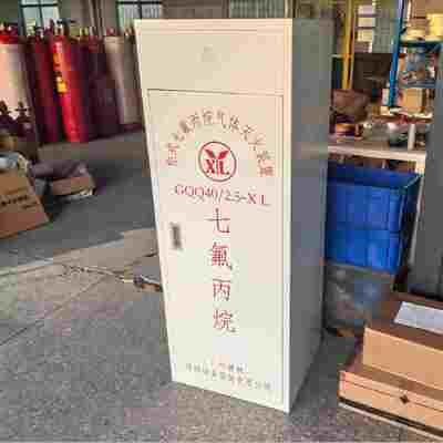 A Class Fast Respond Cabinet FM200 Fire Suppression For Banks And Financial Institutions