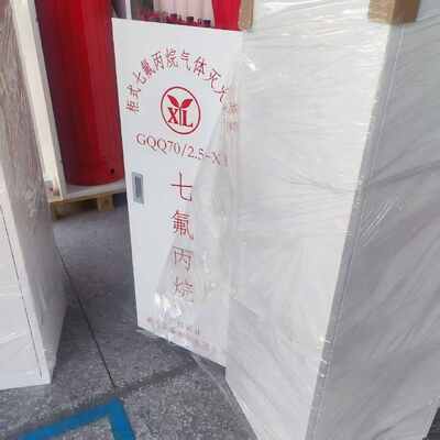 Equipment-Safe High Efficiency Cabinet Type FM200 Fire Extinguisher