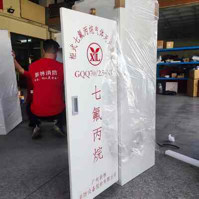 Non-Conductive Clean Agent FM200 Cabinet System Fast Fire Suppression